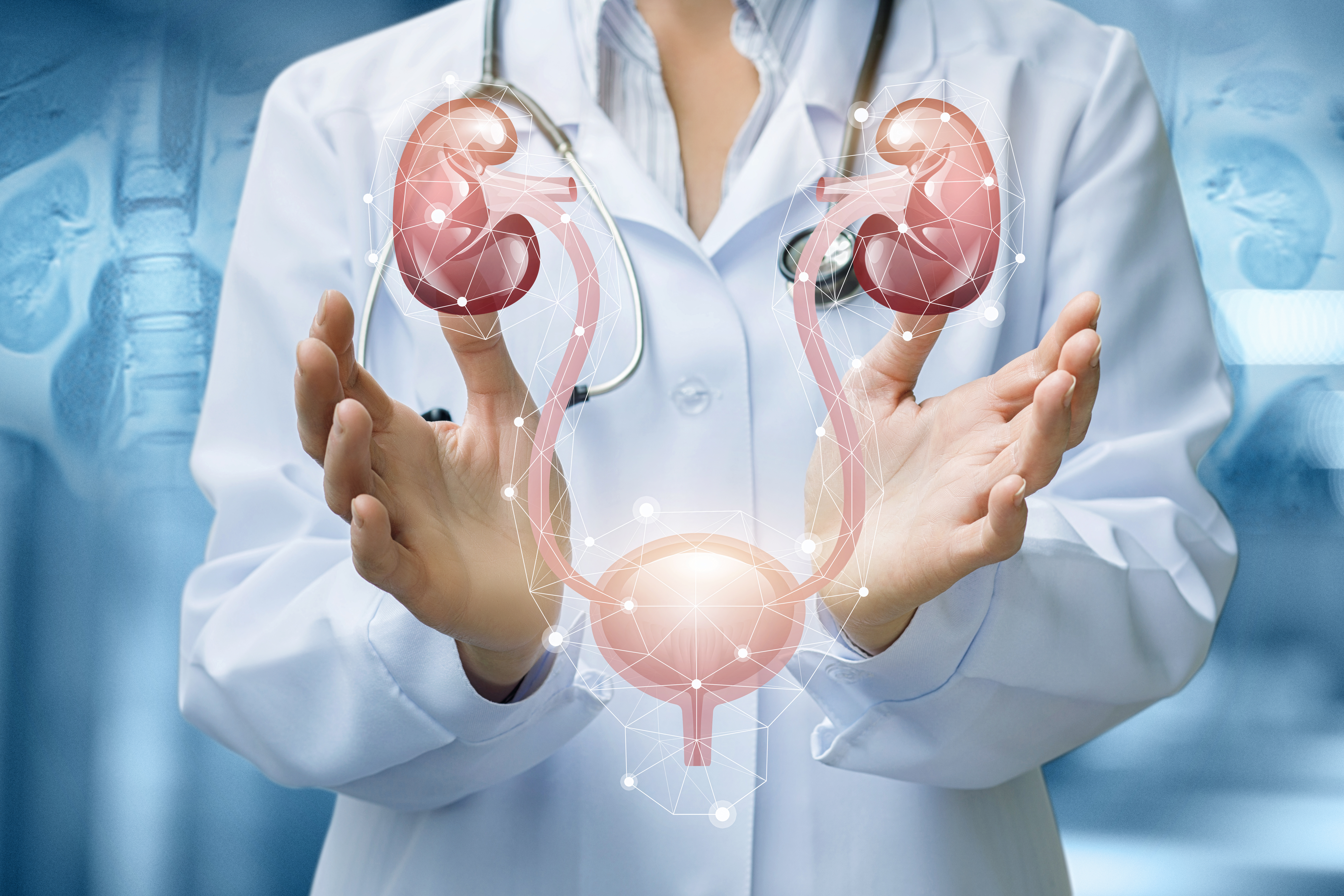طب وجراحة المسالك